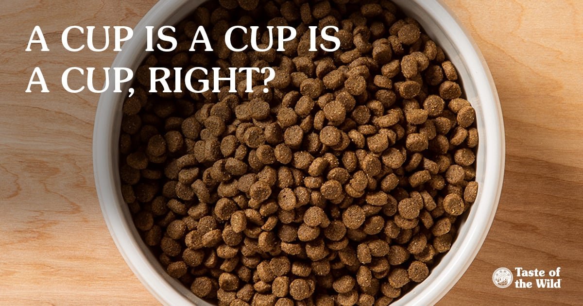Canine Fitness Month Is Over But Your Dog's Weight Isn't | Dog Calorie Tool