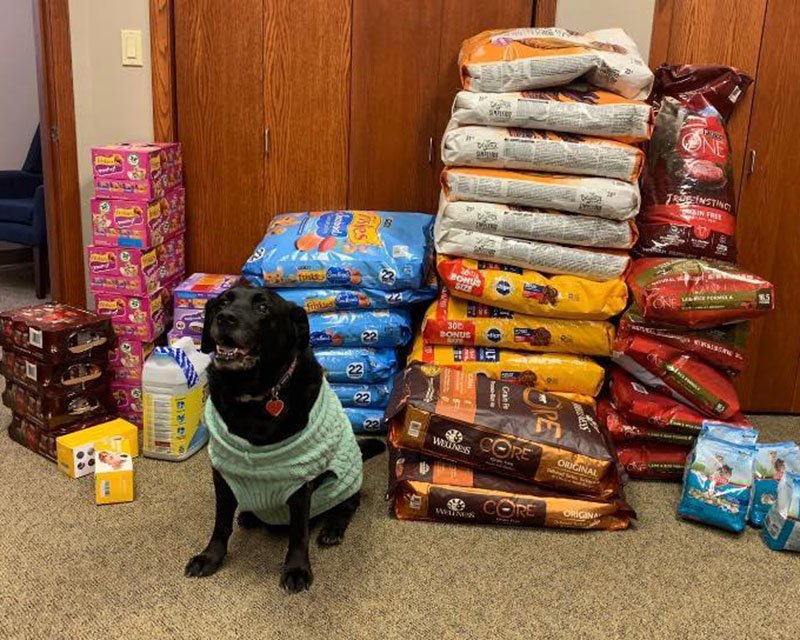Colorado Pet Pantry Exists. If You Need Help Feeding Your Dog, Please Use It. | Dog Calorie Tool