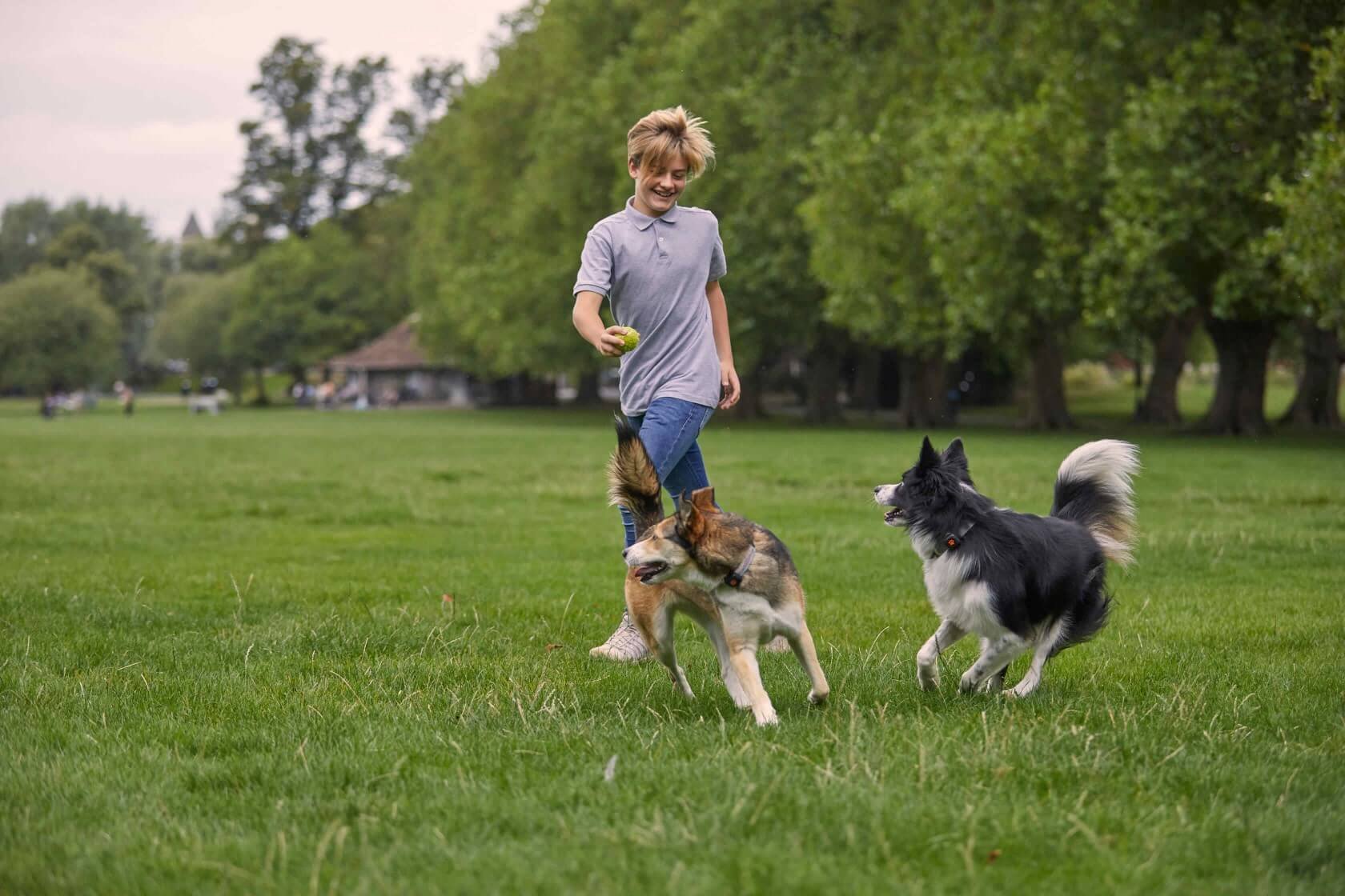 Denver Dog Fair Is Coming Up — Here's How to Say No to 90% of the Treats | Dog Calorie Tool
