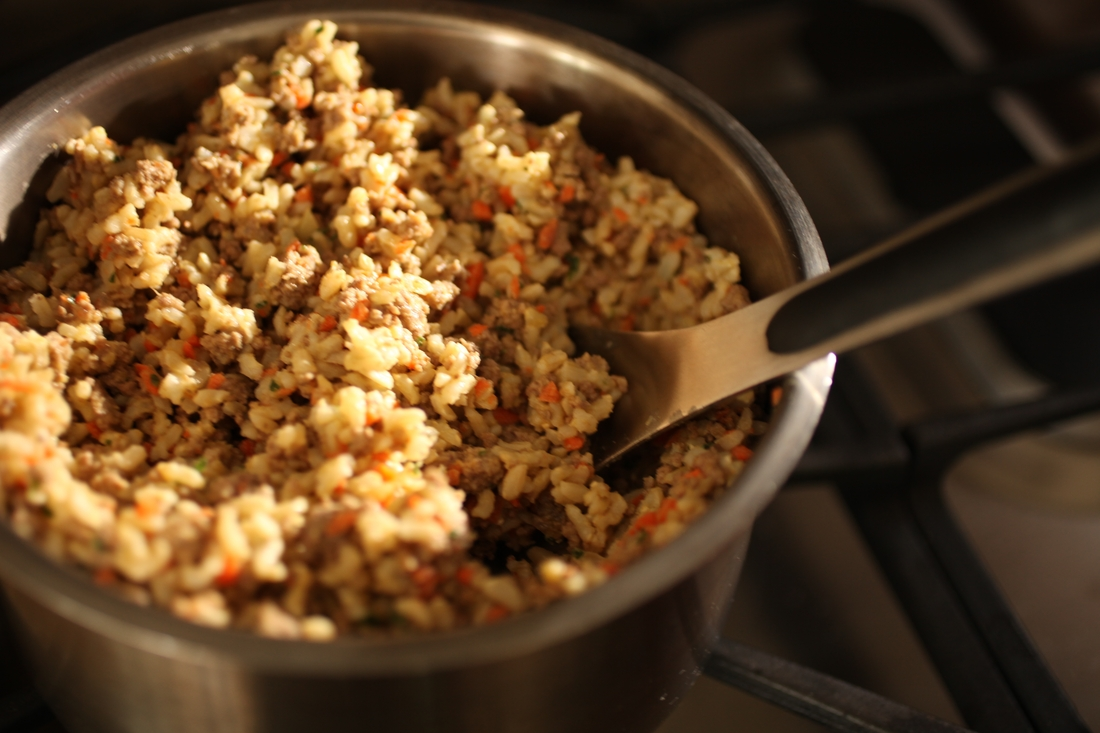 Homemade Dog Food Calorie Mistakes 2026
