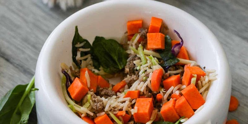 I Tried Homemade Dog Food for 30 Days