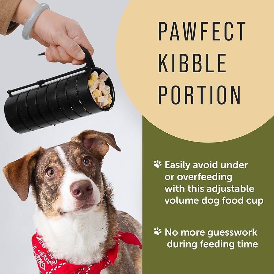 I Used the RER Formula on My Own Dogs and Here’s What I Messed Up | Dog Calorie Tool
