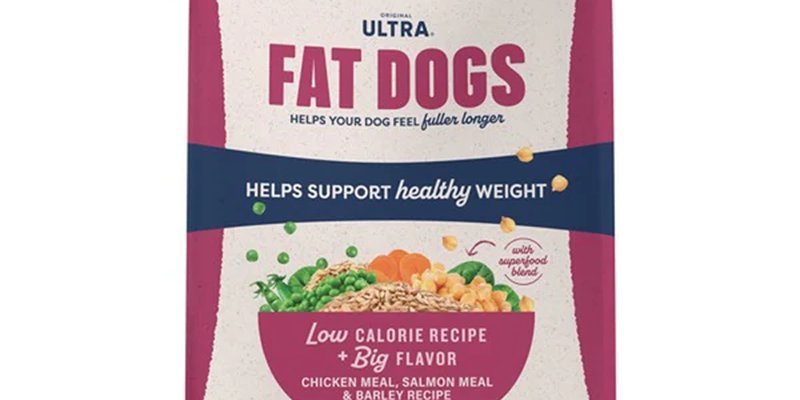Best Low-Calorie Dog Foods for Weight Loss