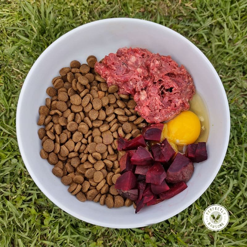 Prescription Weight Loss Dog Food — Is It Worth the $90 Bag? | Dog Calorie Tool