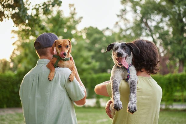 I Fostered a Rescue Dog for 30 Days and Learned Why Weight Matters From Day One